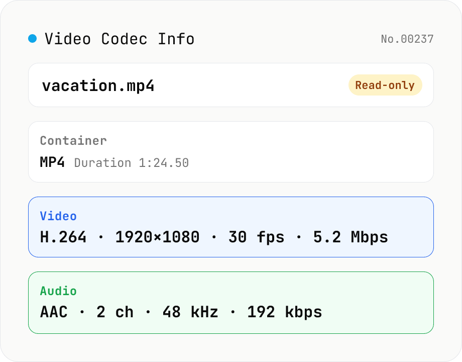 Video Codec Info